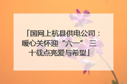 国网上杭县供电公司：暖心关怀迎“六一” 三十载点亮爱与希望