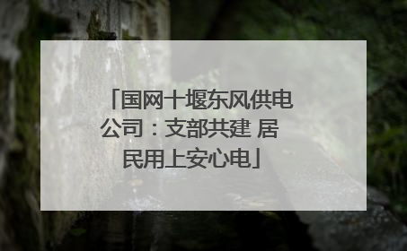国网十堰东风供电公司：支部共建 居民用上安心电