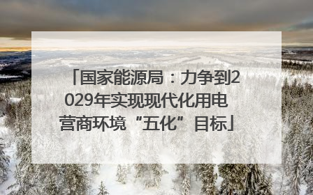 国家能源局：力争到2029年实现现代化用电营商环境“五化”目标
