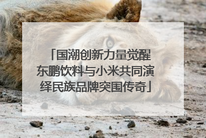 国潮创新力量觉醒 东鹏饮料与小米共同演绎民族品牌突围传奇