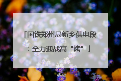 国铁郑州局新乡供电段：全力迎战高“烤”