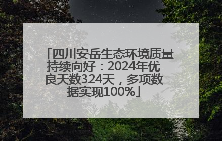 四川安岳生态环境质量持续向好：2024年优良天数324天，多项数据实现100%