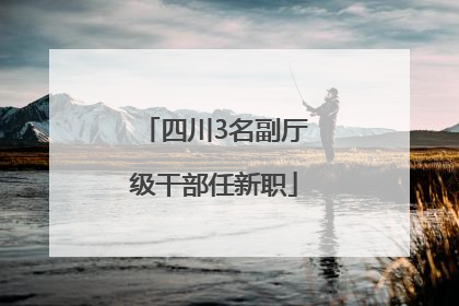 四川3名副厅级干部任新职