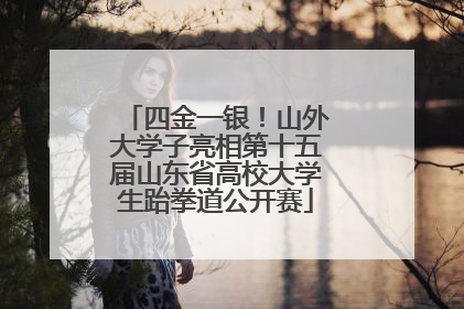 四金一银！山外大学子亮相第十五届山东省高校大学生跆拳道公开赛