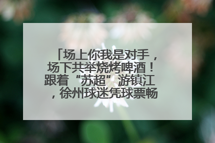 场上你我是对手，场下共举烧烤啤酒！跟着“苏超”游镇江，徐州球迷凭球票畅游名山胜景