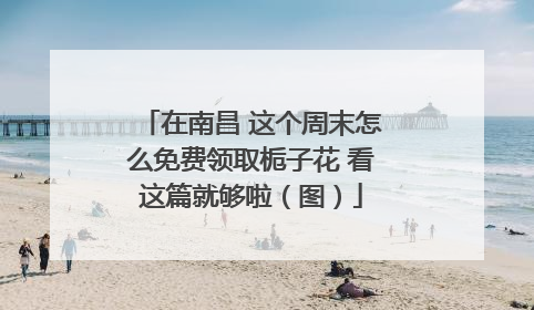在南昌 这个周末怎么免费领取栀子花 看这篇就够啦（图）