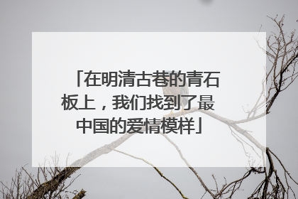 在明清古巷的青石板上，我们找到了最中国的爱情模样