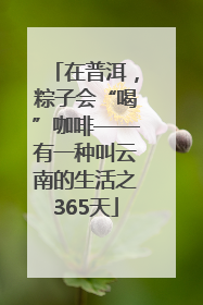 在普洱，粽子会“喝”咖啡——有一种叫云南的生活之365天