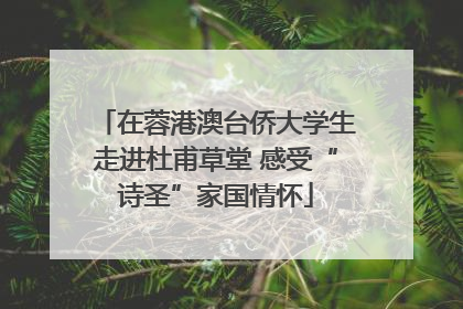 在蓉港澳台侨大学生走进杜甫草堂 感受“诗圣”家国情怀
