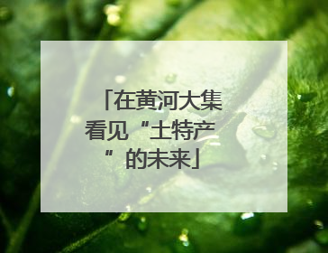 在黄河大集看见“土特产”的未来