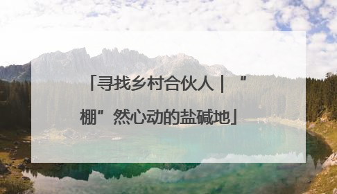 寻找乡村合伙人｜“棚”然心动的盐碱地