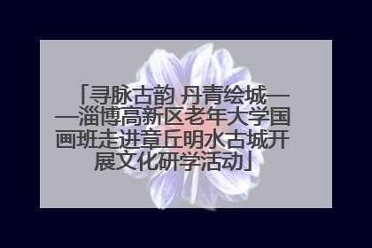 寻脉古韵 丹青绘城——淄博高新区老年大学国画班走进章丘明水古城开展文化研学活动