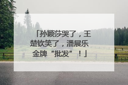 孙颖莎哭了，王楚钦笑了，潘展乐金牌“批发”！
