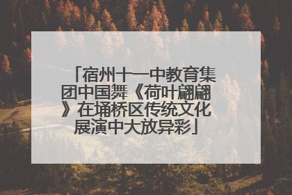 宿州十一中教育集团中国舞《荷叶翩翩》在埇桥区传统文化展演中大放异彩