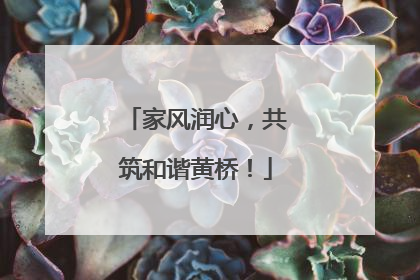 家风润心，共筑和谐黄桥！
