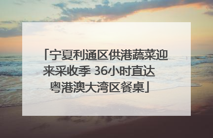 宁夏利通区供港蔬菜迎来采收季 36小时直达粤港澳大湾区餐桌