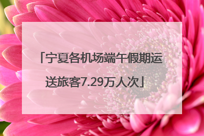 宁夏各机场端午假期运送旅客7.29万人次