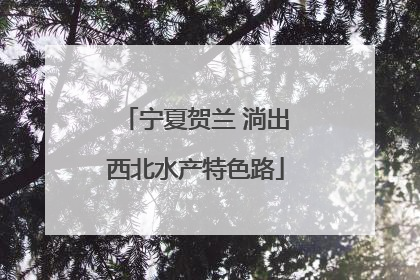 宁夏贺兰 淌出西北水产特色路
