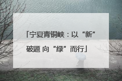 宁夏青铜峡：以“新”破题 向“绿”而行