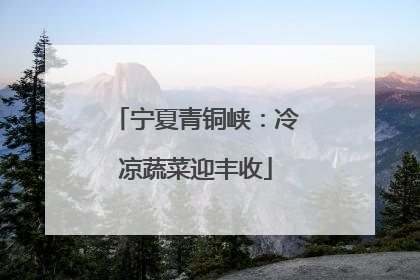 宁夏青铜峡：冷凉蔬菜迎丰收