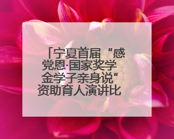 宁夏首届“感党恩·国家奖学金学子亲身说”资助育人演讲比赛落幕