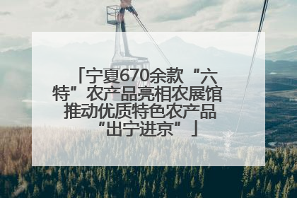 宁夏670余款“六特”农产品亮相农展馆 推动优质特色农产品“出宁进京”