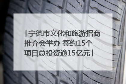 宁德市文化和旅游招商推介会举办 签约15个项目总投资逾15亿元