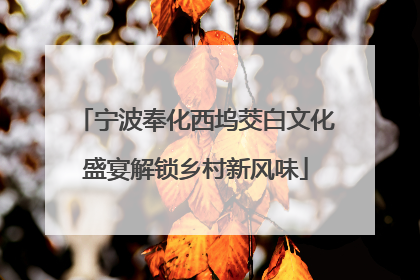 宁波奉化西坞茭白文化盛宴解锁乡村新风味
