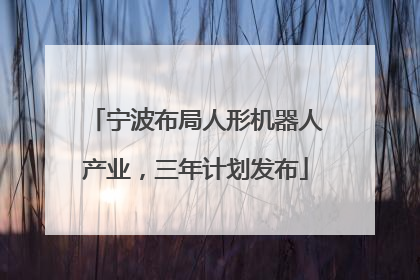 宁波布局人形机器人产业，三年计划发布