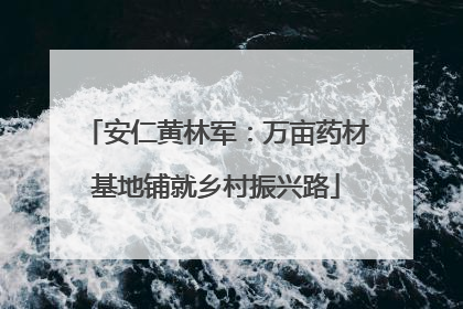 安仁黄林军：万亩药材基地铺就乡村振兴路