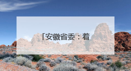 安徽省委：着力培养选拔优秀年轻干部