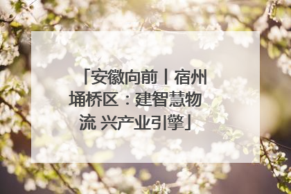 安徽向前丨宿州埇桥区：建智慧物流 兴产业引擎