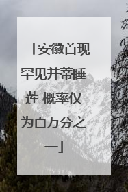 安徽首现罕见并蒂睡莲 概率仅为百万分之一