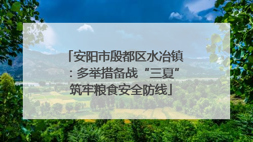 安阳市殷都区水冶镇：多举措备战“三夏” 筑牢粮食安全防线