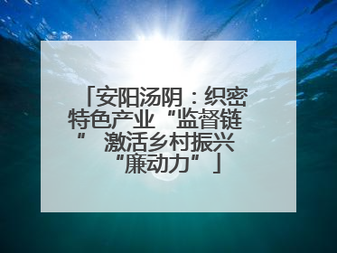 安阳汤阴：织密特色产业“监督链” 激活乡村振兴“廉动力”