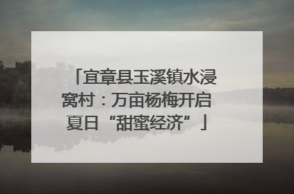 宜章县玉溪镇水浸窝村：万亩杨梅开启夏日“甜蜜经济”