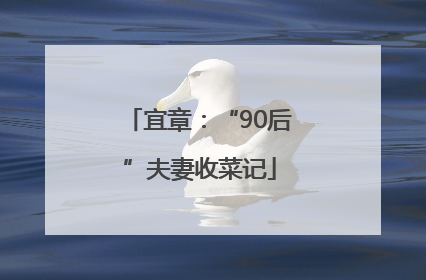 宜章：“90后”夫妻收菜记