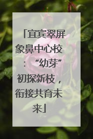 宜宾翠屏象鼻中心校：“幼芽”初探新枝，衔接共育未来