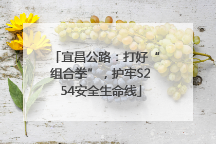 宜昌公路：打好“组合拳”，护牢S254安全生命线