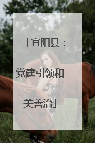 宜阳县：党建引领和美善治
