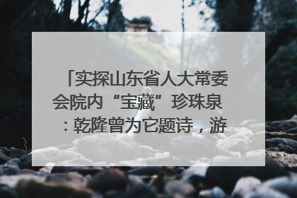 实探山东省人大常委会院内“宝藏”珍珠泉：乾隆曾为它题诗，游客无需预约免费游览
