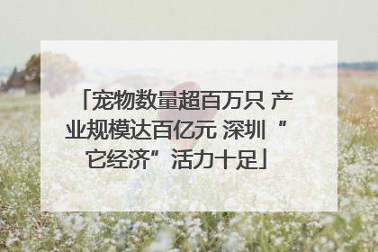 宠物数量超百万只 产业规模达百亿元 深圳“它经济”活力十足