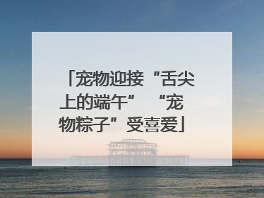 宠物迎接“舌尖上的端午” “宠物粽子”受喜爱