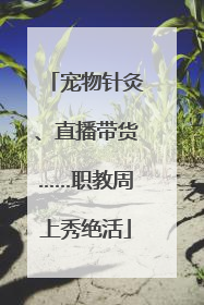 宠物针灸、直播带货……职教周上秀绝活