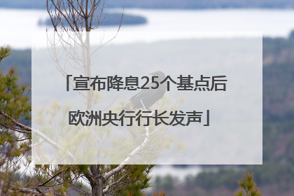 宣布降息25个基点后 欧洲央行行长发声