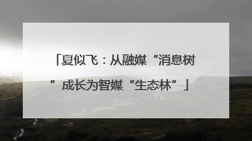 夏似飞：从融媒“消息树”成长为智媒“生态林”