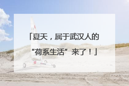 夏天，属于武汉人的“荷系生活”来了！