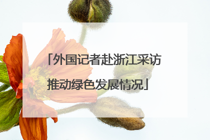 外国记者赴浙江采访推动绿色发展情况