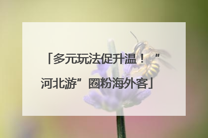 多元玩法促升温！“河北游”圈粉海外客