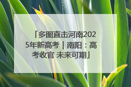 多图直击河南2025年新高考｜南阳：高考收官 未来可期